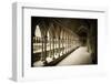 The abbey cloister, Mont Saint-Michel, Normandy, France-Russ Bishop-Framed Photographic Print