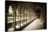 The abbey cloister, Mont Saint-Michel, Normandy, France-Russ Bishop-Stretched Canvas