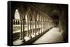 The abbey cloister, Mont Saint-Michel, Normandy, France-Russ Bishop-Framed Stretched Canvas