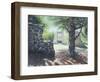 The Abby Ruins, Mackenzie King Estate-Kevin Dodds-Framed Giclee Print