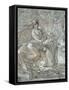 The Abduction of Europa-Prospero Fontana-Framed Stretched Canvas