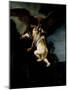 The Abduction of Ganymede, 1635-Rembrandt van Rijn-Mounted Premium Giclee Print