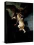 The Abduction of Ganymede, 1635-Rembrandt van Rijn-Stretched Canvas