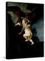 The Abduction of Ganymede, 1635-Rembrandt van Rijn-Stretched Canvas