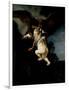 The Abduction of Ganymede, 1635-Rembrandt van Rijn-Framed Giclee Print