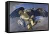 The Abduction of Ganymede-Anton Domenico Gabbiani-Framed Stretched Canvas