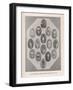 The Aborigines which visited England in 1868, 1912-null-Framed Giclee Print