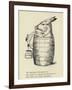 The Absolutely Abstemious Ass-Edward Lear-Framed Giclee Print