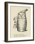 The Absolutely Abstemious Ass-Edward Lear-Framed Giclee Print