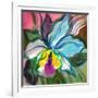 The Abstract Flowers Drawn On A Paper-balaikin2009-Framed Art Print