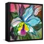 The Abstract Flowers Drawn On A Paper-balaikin2009-Framed Stretched Canvas