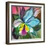 The Abstract Flowers Drawn On A Paper-balaikin2009-Framed Art Print