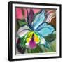 The Abstract Flowers Drawn On A Paper-balaikin2009-Framed Art Print