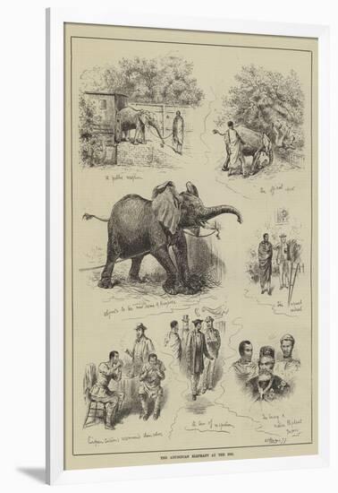 The Abyssinian Elephant at the Zoo-null-Framed Giclee Print