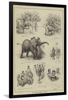 The Abyssinian Elephant at the Zoo-null-Framed Giclee Print