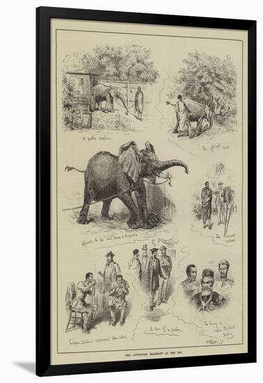 The Abyssinian Elephant at the Zoo-null-Framed Giclee Print