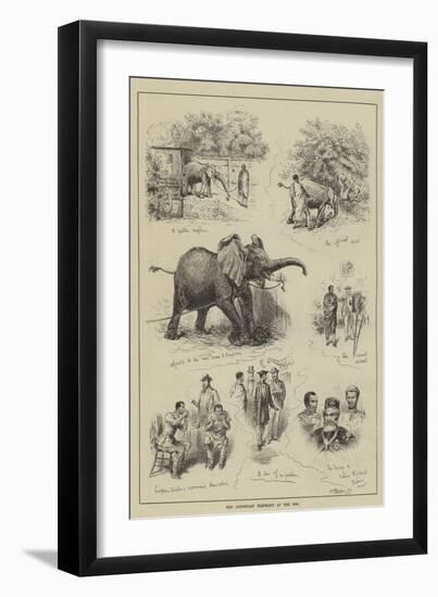 The Abyssinian Elephant at the Zoo-null-Framed Premium Giclee Print