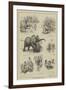 The Abyssinian Elephant at the Zoo-null-Framed Giclee Print