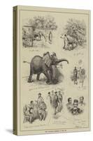 The Abyssinian Elephant at the Zoo-null-Stretched Canvas