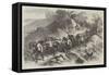 The Abyssinian Expedition, Return of the Army from Magdala, the Mountain Train-null-Framed Stretched Canvas