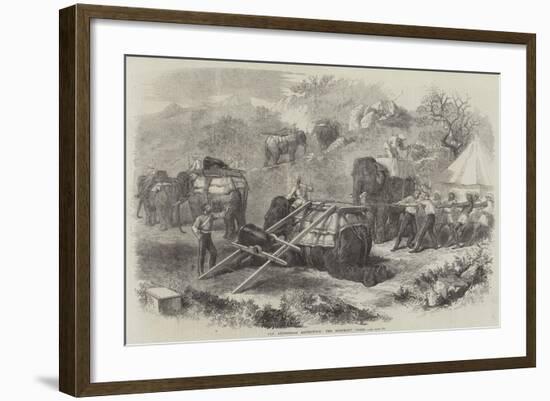 The Abyssinian Expedition, the Elephant Train-null-Framed Giclee Print