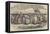 The Abyssinian Expedition-null-Framed Stretched Canvas