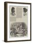 The Abyssinian Expedition-null-Framed Giclee Print