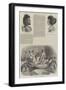 The Abyssinian Expedition-null-Framed Giclee Print