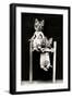 The Acrobats, 1914-Science Source-Framed Premium Giclee Print