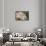 The Acropolis and Parthenon-Roger Payne-Framed Stretched Canvas displayed on a wall