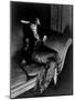 The Actress Louise Brooks, 1929-null-Mounted Photographic Print