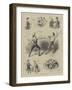 The Adc at Cambridge-John Jellicoe-Framed Giclee Print