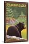 The Adirondacks - Black Bear in Forest-Lantern Press-Stretched Canvas