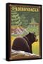 The Adirondacks - Black Bear in Forest-Lantern Press-Framed Stretched Canvas