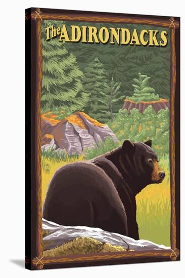 The Adirondacks - Black Bear in Forest-Lantern Press-Stretched Canvas