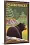 The Adirondacks - Black Bear in Forest-Lantern Press-Mounted Art Print