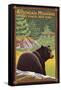 The Adirondacks - Lake Placid, New York - Black Bear in Forest-Lantern Press-Framed Stretched Canvas