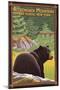 The Adirondacks - Lake Placid, New York - Black Bear in Forest-Lantern Press-Mounted Art Print