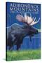 The Adirondacks - Lake Placid, New York State - Moose at Night-Lantern Press-Stretched Canvas