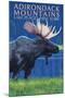 The Adirondacks - Lake Placid, New York State - Moose at Night-Lantern Press-Mounted Art Print
