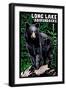 The Adirondacks - Long Lake, New York - Bear - Scratchboard-Lantern Press-Framed Art Print