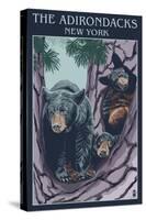 The Adirondacks, New York State - Bear Family in Tree-Lantern Press-Stretched Canvas