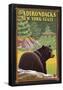 The Adirondacks, New York State - Black Bear In Forest-null-Framed Poster