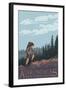 The Adirondacks, New York State - Hiking Scene-Lantern Press-Framed Art Print