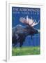 The Adirondacks, New York State - Moose at Night-Lantern Press-Framed Art Print