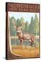 The Adirondacks, New York State - White Tailed Deer Buck-Lantern Press-Stretched Canvas