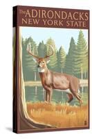 The Adirondacks, New York State - White Tailed Deer Buck-Lantern Press-Stretched Canvas