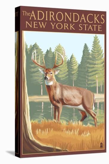 The Adirondacks, New York State - White Tailed Deer Buck-Lantern Press-Stretched Canvas