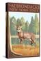 The Adirondacks, New York State - White Tailed Deer Buck-Lantern Press-Stretched Canvas