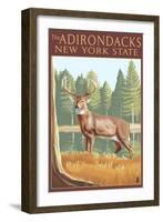 The Adirondacks, New York State - White Tailed Deer Buck-Lantern Press-Framed Art Print